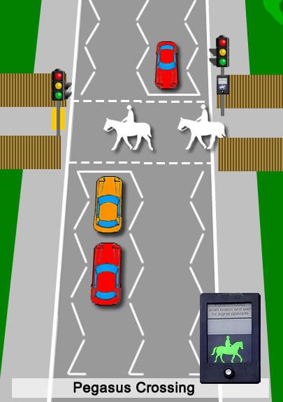 Pegasus horse crossing