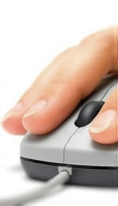 Theory test mouse