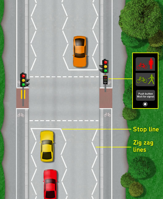 Toucan crossing