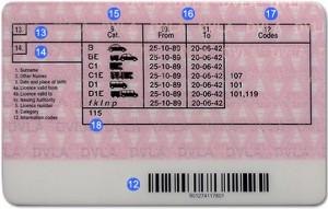 Back of UK driving licence explained