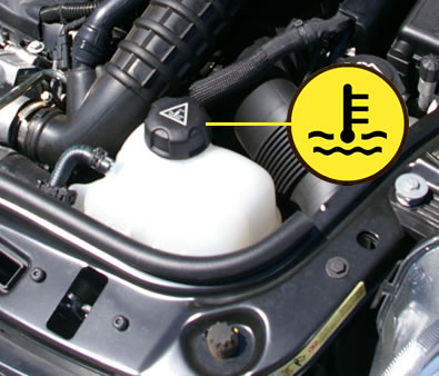 engine coolant cap