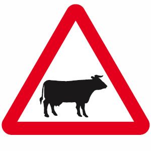 Cattle road sign