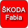 ŠKODA Fabia Dashboard Warning Lights