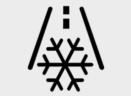 Kia Frost Warning (snowflake) dashboard warning light symbol